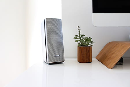 gray portable speaker beside green plant thumbnail