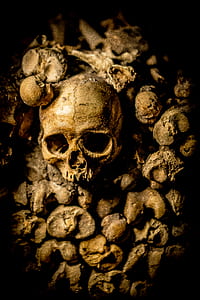 white human skull thumbnail