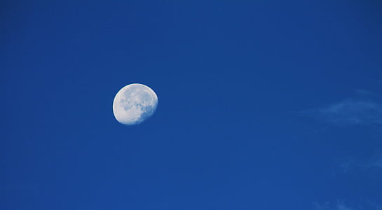 half moon thumbnail