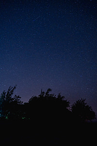 photo of trees during nighttime thumbnail