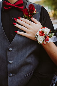 person holding red roses thumbnail