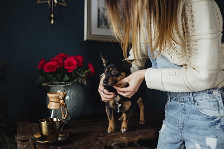 Enjoying a finely brewed coffee and playing with a dog thumbnail