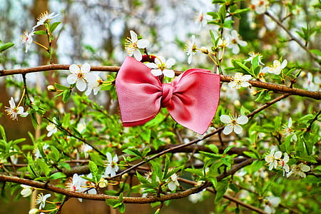 red ribbon thumbnail