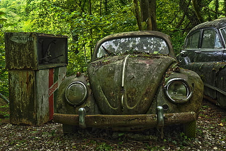 green Volkswagen Beetle coupe near trees thumbnail