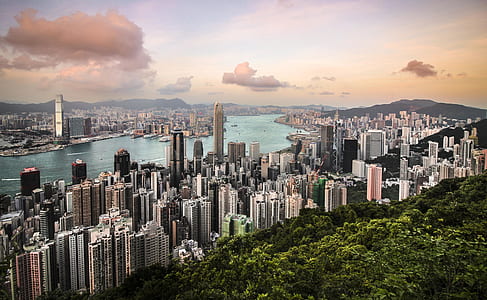 aerial photography of city buildings thumbnail
