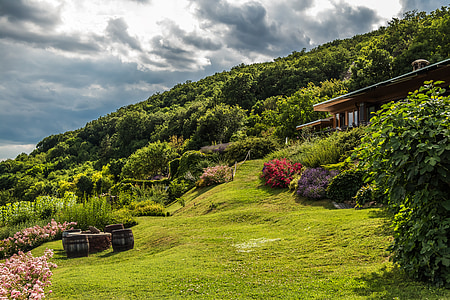 landscape of green grass under blue sky thumbnail