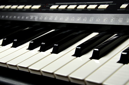 closeup photography of electric piano keys thumbnail