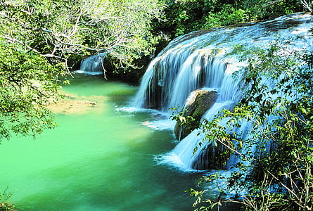 waterfall beside trees thumbnail