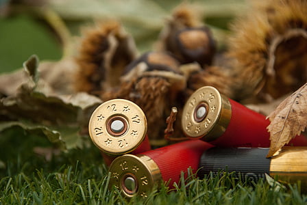 selective focus photo of three red bullet shells thumbnail