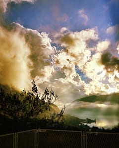 silhouette of tree under cloudy sky thumbnail