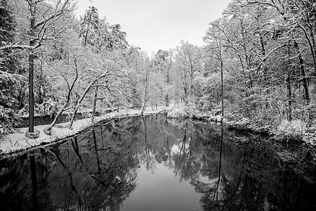 lake and bare trees in grayscale photography thumbnail