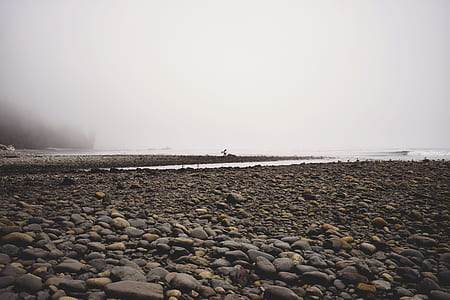 gray stone pebbles during daytiem thumbnail