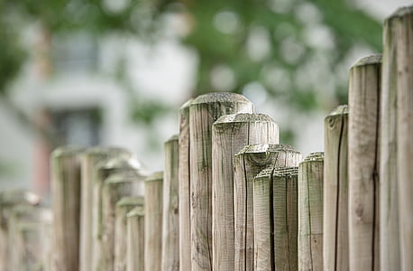depth of field photography of bamboo stick fence thumbnail