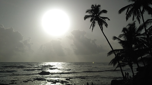 silhouette photography of trees and body of water thumbnail
