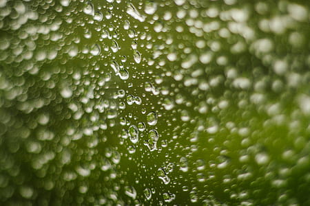 selective focus photography of water drops on glass surface thumbnail