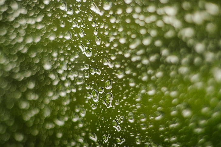 selective focus photography of water drops on glass surface