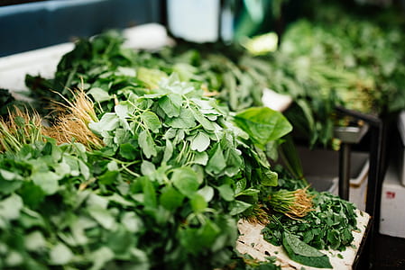 green leafed plant on table thumbnail