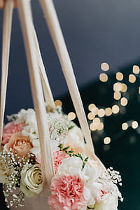 Bouquet of flowers in a bag with some fairy lights thumbnail