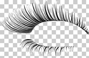 Eyelash extensions Cosmetics , Thick eyelashes thin holiday PNG clipart