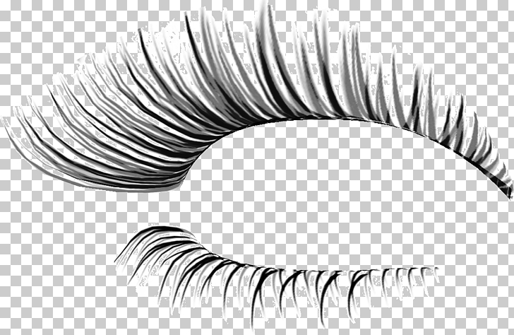 Eyelash extensions Cosmetics , Thick eyelashes thin holiday PNG clipart