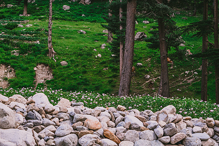 pile of stones near mountain thumbnail