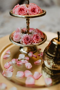 A tray of pink roses thumbnail