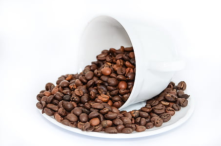brown coffee beans on white ceramic plate thumbnail