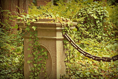 gray concrete gate covered with plants thumbnail