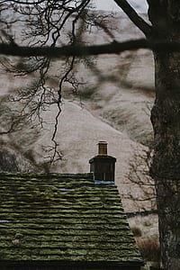 brown and green roof house near tree at daytime thumbnail