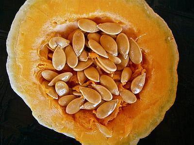 slice of squash thumbnail