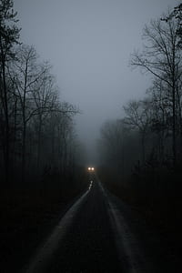 road covered with fog thumbnail