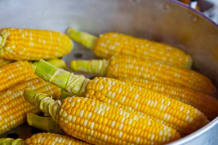 bunch of yellow corn inside grey container thumbnail