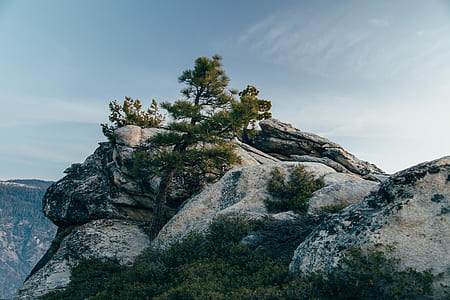 photography of mountain top at daytime thumbnail