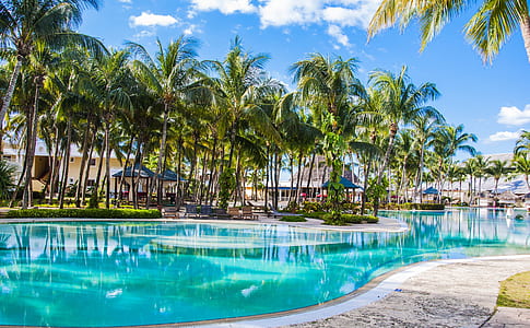 large pool between green coconut trees under blue and white sky at daytime thumbnail
