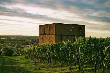 Y Castle, Stetten In The Remstal thumbnail