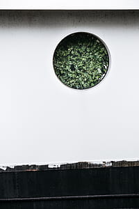 white concrete surface thumbnail