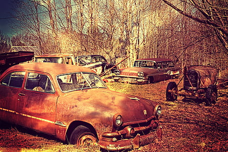 classic brown Volkswagen Beetles park surrounded by bare tress during daytime thumbnail