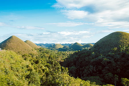 Scenic View of Hills Surrounded By Trees thumbnail