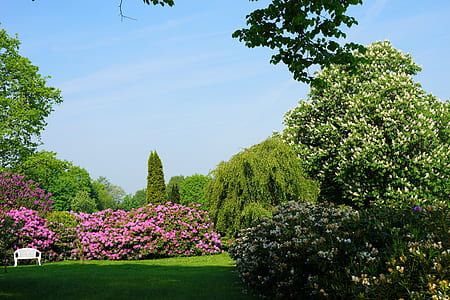 white bench in front of pink petaled flowers thumbnail
