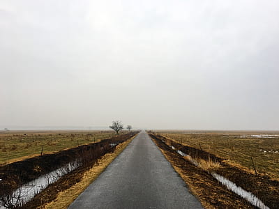 farm road thumbnail