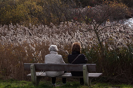 two person siting on wooden seat thumbnail