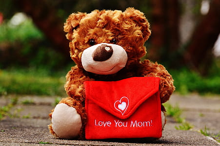 brown teddy bear with red wallet thumbnail