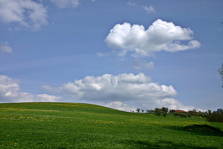 green grassland thumbnail