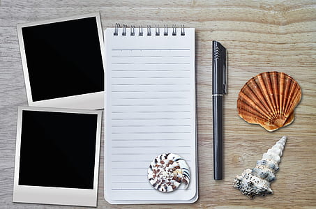 flat lay photography of text book with pen and seashell thumbnail