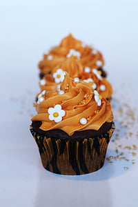 photo of brown icing covered cupcake thumbnail