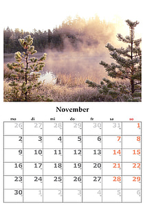 Novevember calendar on wall thumbnail