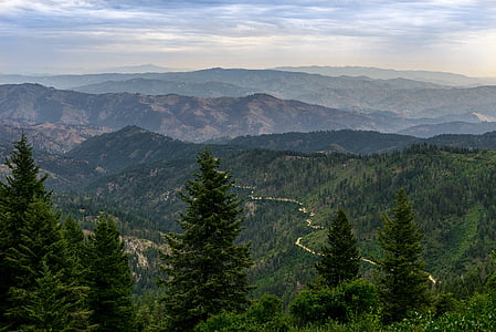 aerial photo of green trees on mountain thumbnail