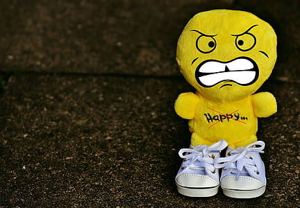 pair of toddler's white sneakers thumbnail