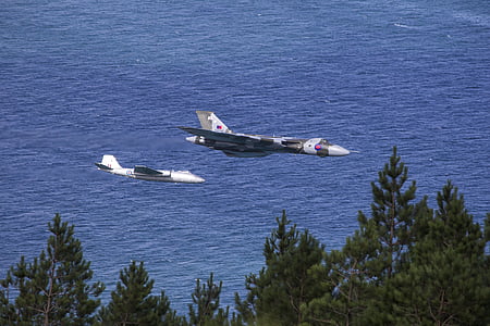 gray-and-white airplanes above trees and sea during daytime thumbnail