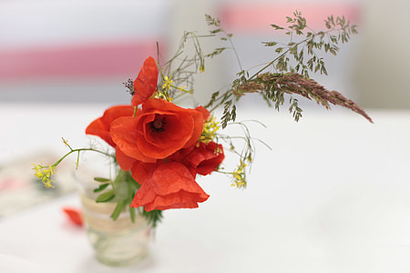 orange clustered petal flowers thumbnail